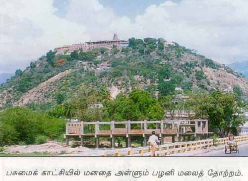 palani17a