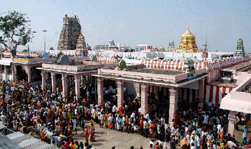 Devotees throng to Palani Malai Kovil during Panguni Uttiram festival