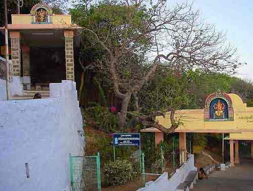 Palani Malai elephant steps<