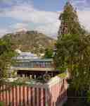 Tiru Avinankuti Devasthanam, Palani Malai in background