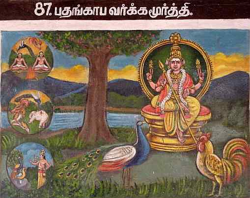 Padankaapa Varkka Murti